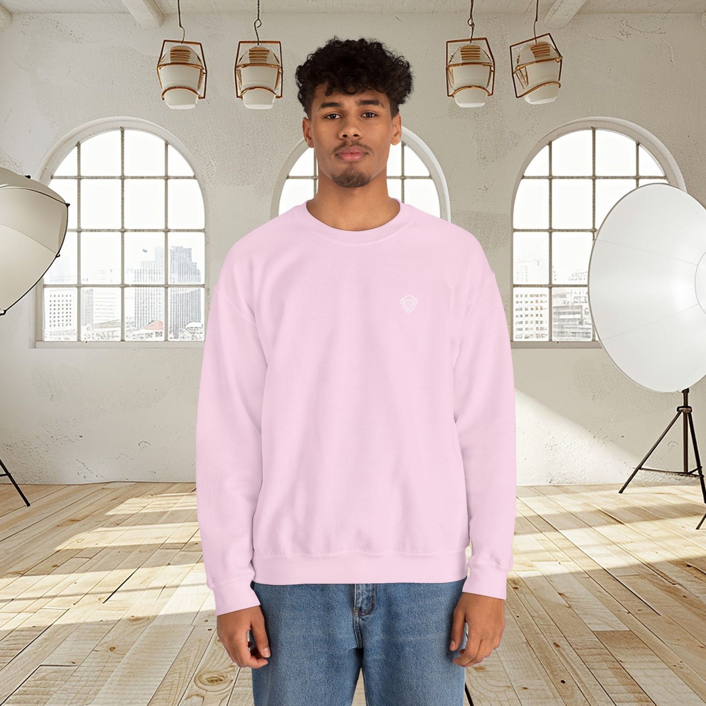 Unisex fit sweatshirt "MONKEY CENTRAL"